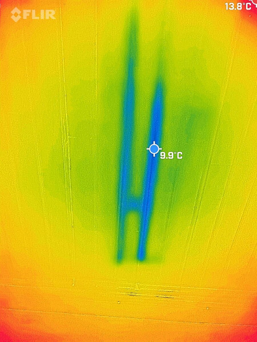 FLIR thermal image revealing hidden damp